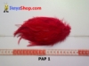 bulu PAD polos PAP 1 - feather medium.jpg